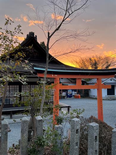 Tori in Uji